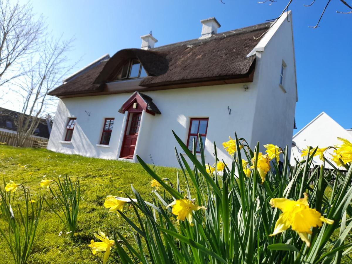 Donegal Thatched Cottage Loughanure Exterior photo